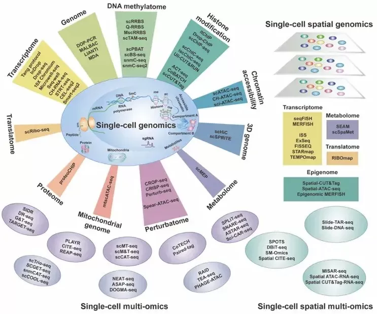 Single-cell Multi-omics Technologies